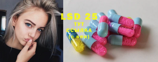 сатива Волоколамск