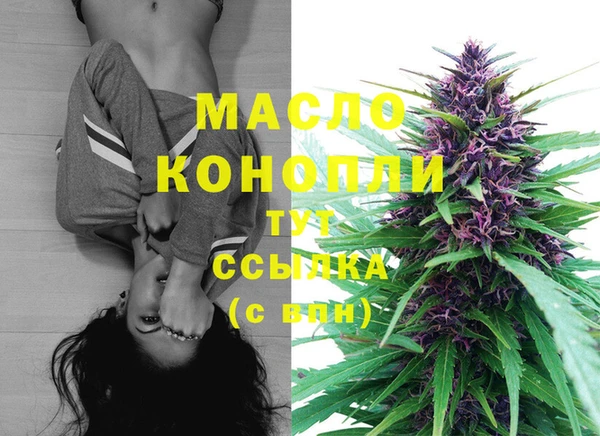 сатива Волоколамск