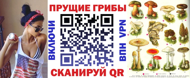 Галлюциногенные грибы ЛСД  Купить  Терек 